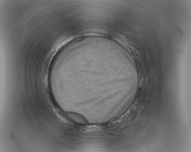 X0000111160050200907281201