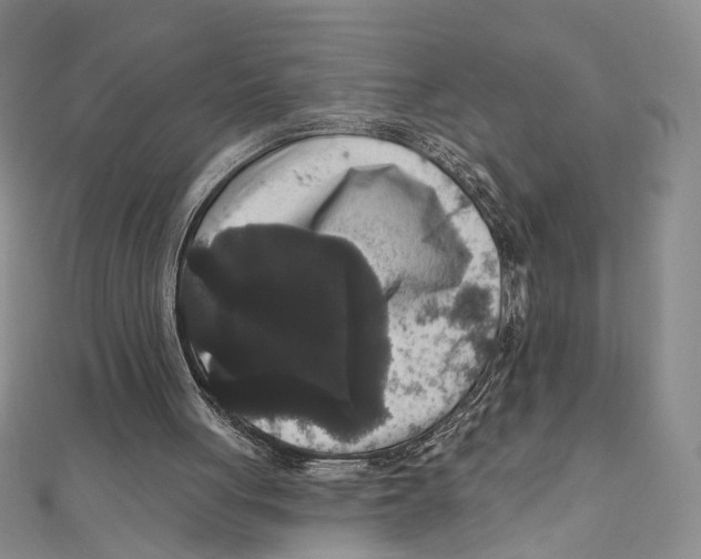 X0000111160051200907281201