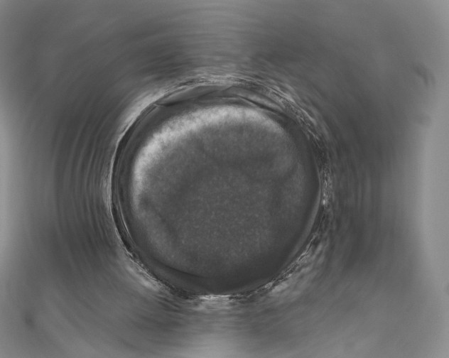 X0000111160052200907281201