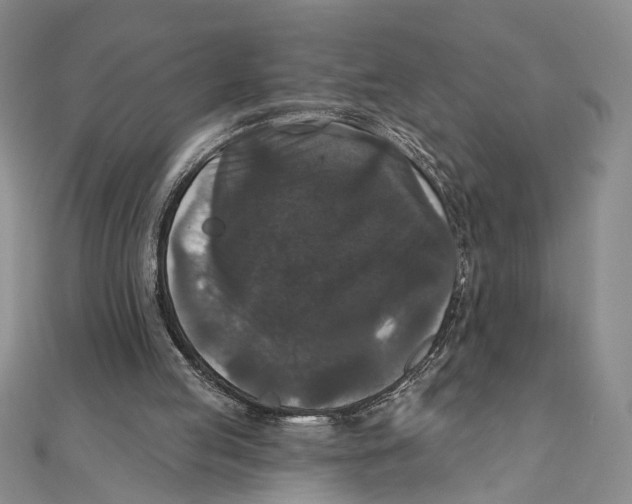 X0000111160053200907281201