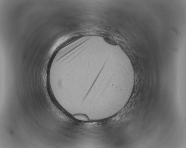 X0000111160054200907281201