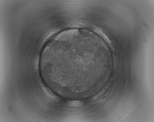 X0000111160058200907281201