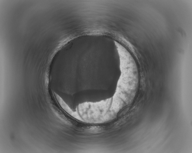 X0000111160059200907281201