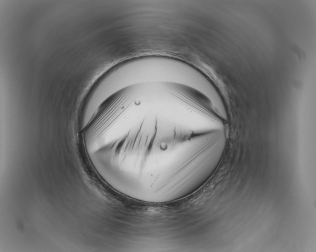 X0000111160060200907281201