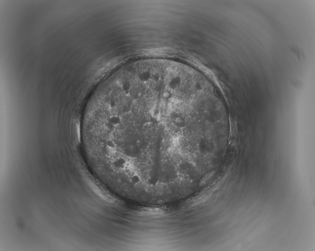 X0000111160061200907281202