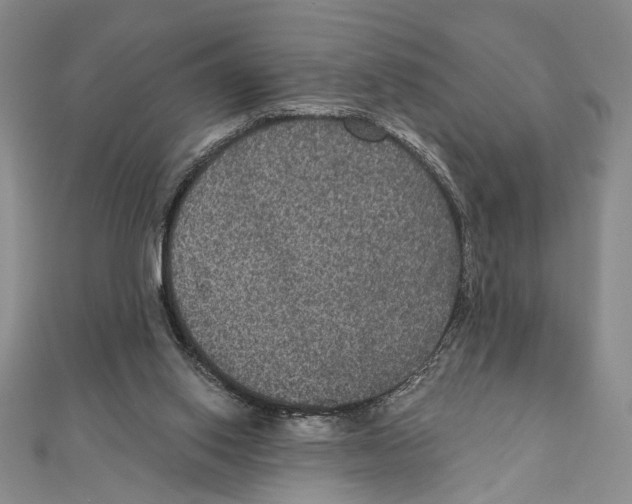 X0000111160062200907281202