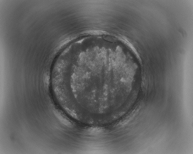 X0000111160063200907281202