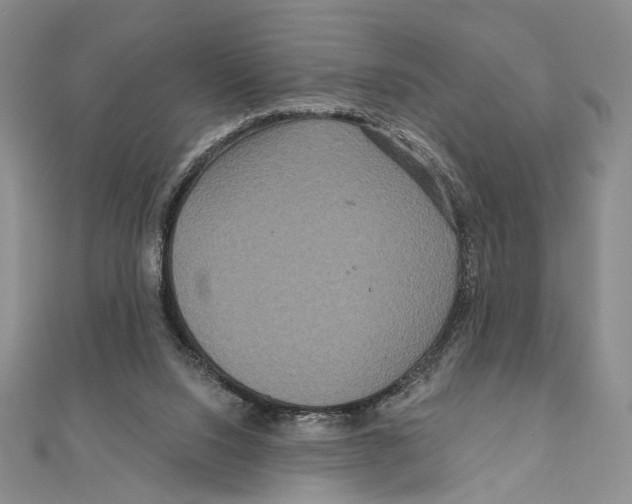 X0000111160064200907281202