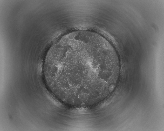X0000111160065200907281202