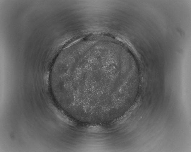 X0000111160066200907281202