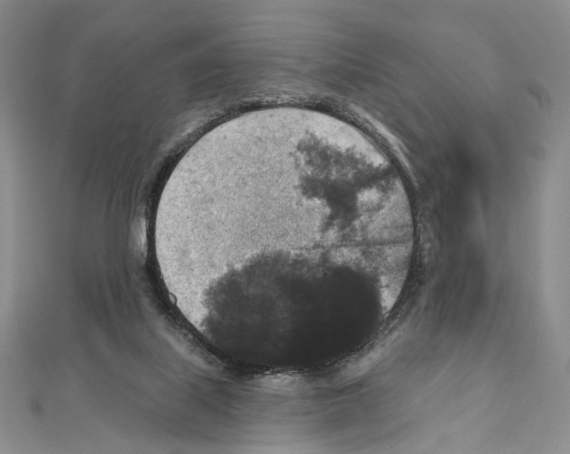 X0000111160067200907281202