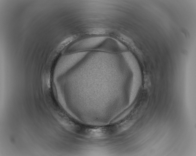 X0000111160068200907281202
