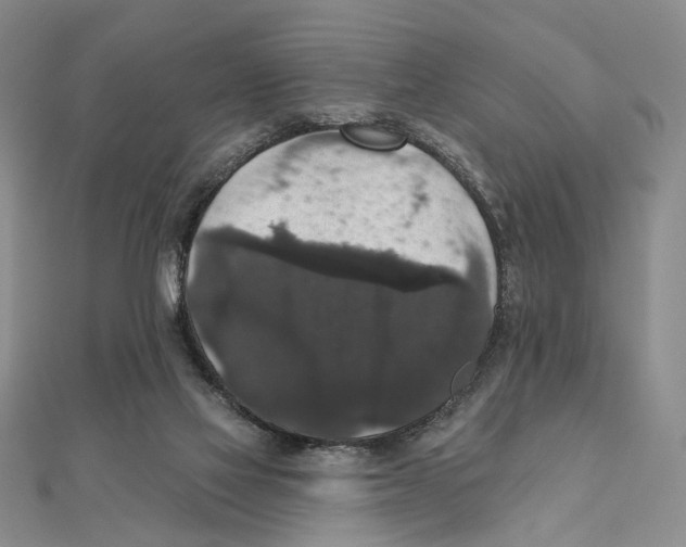X0000111160069200907281202
