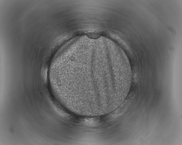 X0000111160070200907281202