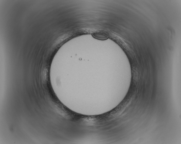 X0000111160071200907281202