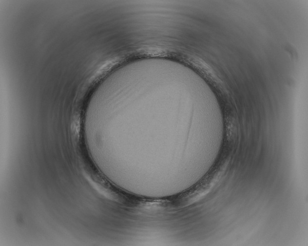 X0000111160072200907281202