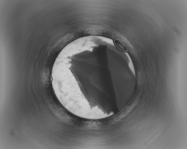 X0000111160073200907281202