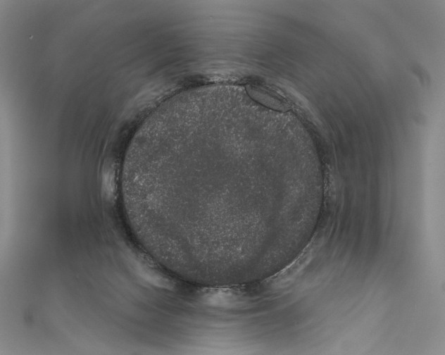 X0000111160074200907281202