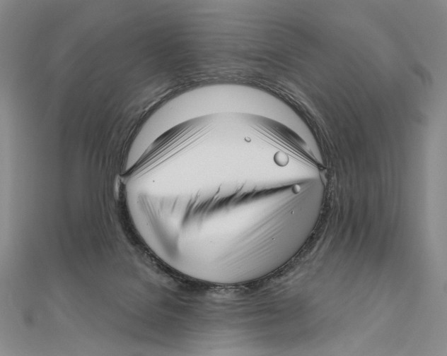 X0000111160076200907281202