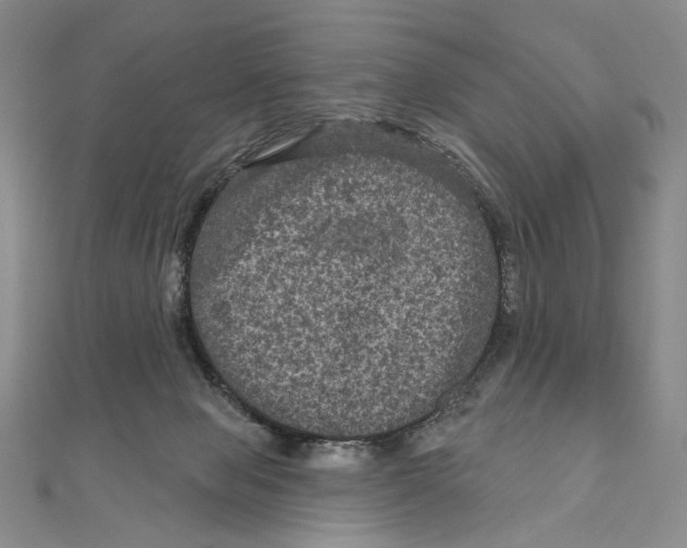 X0000111160077200907281202