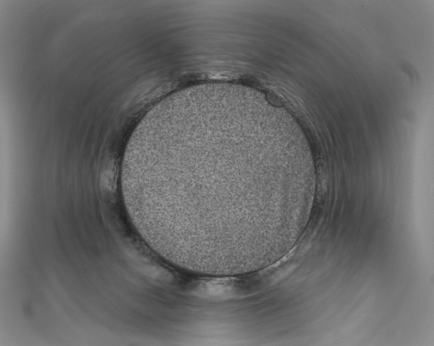 X0000111160078200907281202