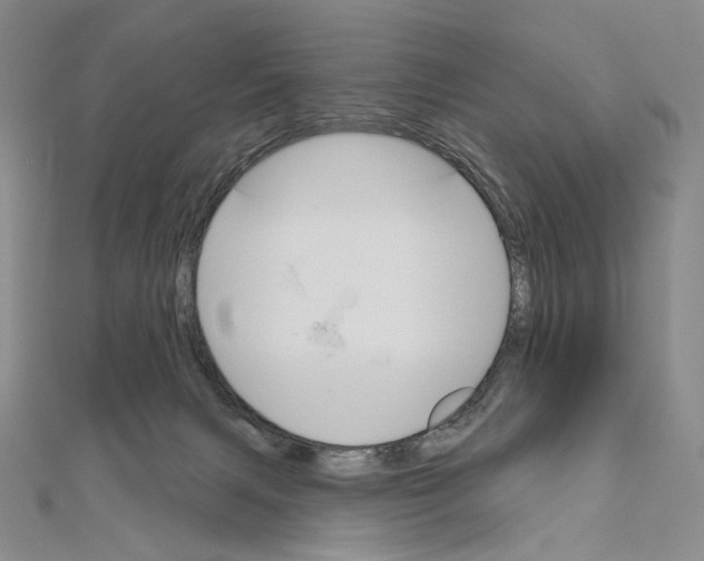 X0000111160079200907281202