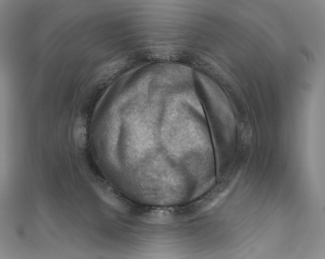 X0000111160080200907281202