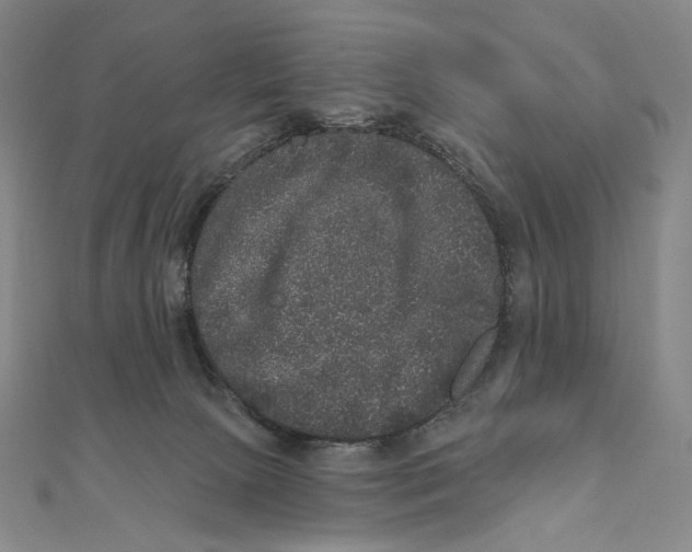 X0000111160081200907281202