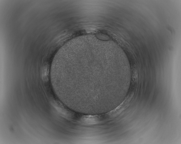 X0000111160082200907281202
