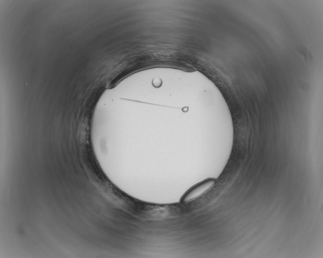 X0000111160083200907281202