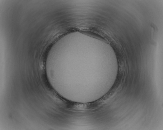 X0000111160084200907281202