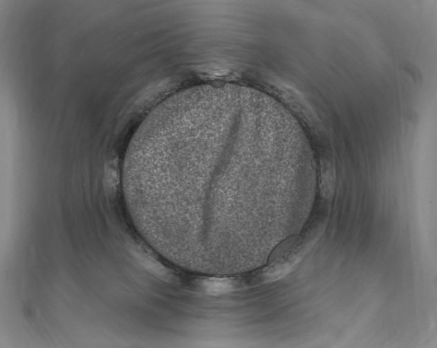 X0000111160085200907281202