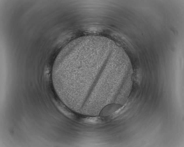 X0000111160086200907281202