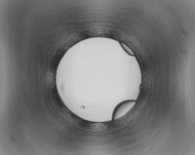 X0000111160087200907281202