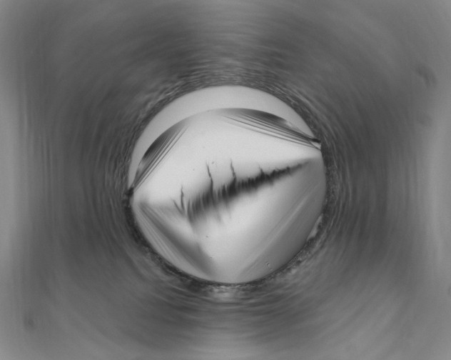 X0000111160088200907281202