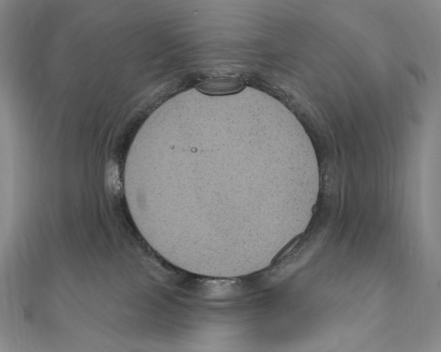 X0000111160089200907281202