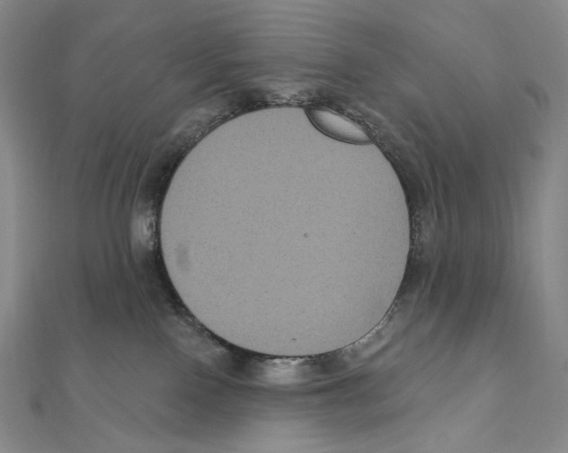 X0000111160090200907281202