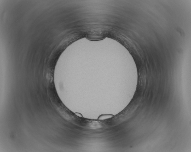 X0000111160091200907281202