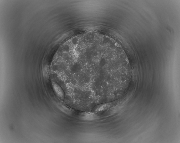 X0000111160093200907281202