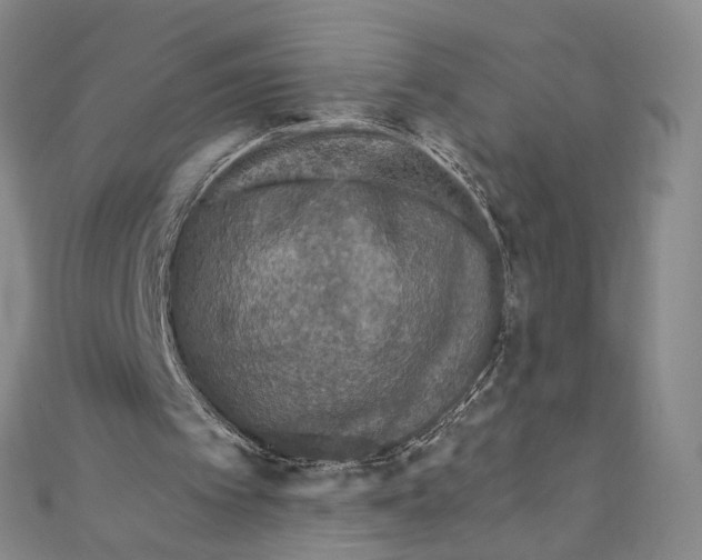 X0000111160097200907281201