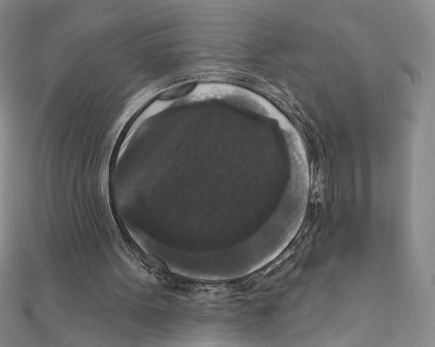 X0000111160099200907281201