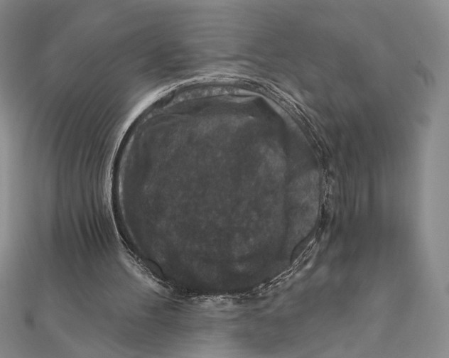 X0000111160100200907281201