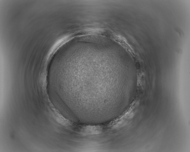 X0000111160101200907281201