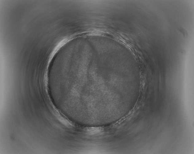 X0000111160102200907281201