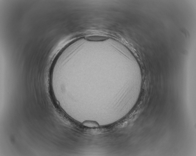 X0000111160103200907281201