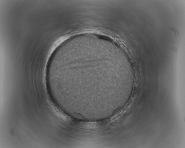 X0000111160104200907281201