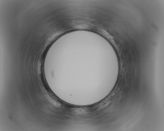 X0000111160106200907281201