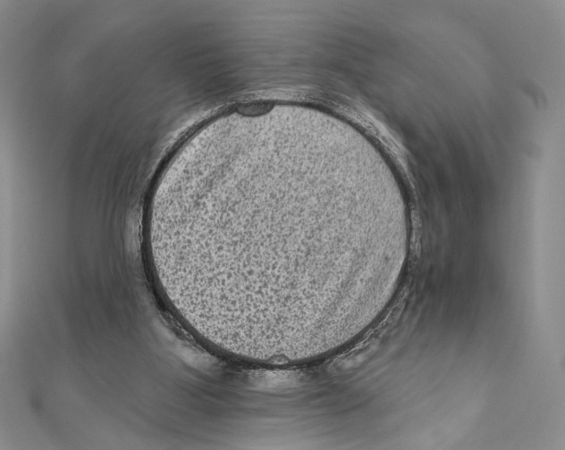 X0000111160107200907281201