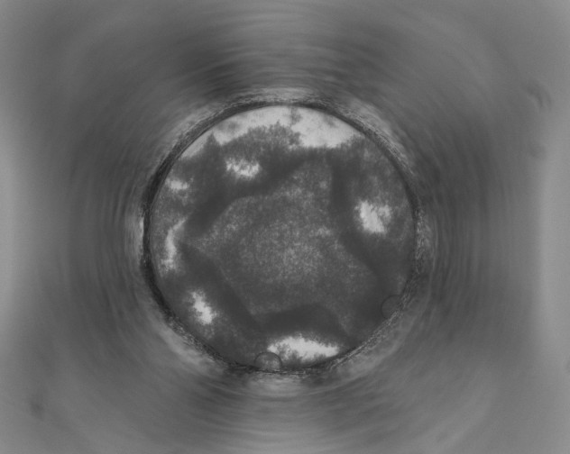 X0000111160110200907281201