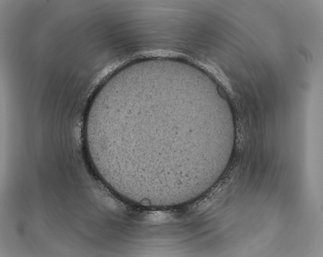 X0000111160111200907281201